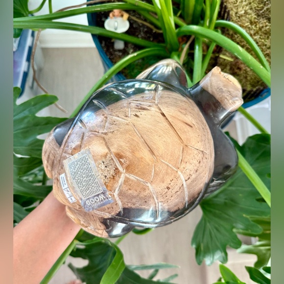 Petrified Wood Turtle - Picture 1 of 9